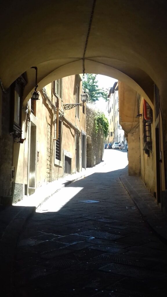 Costa dei Magnoli, Firenze